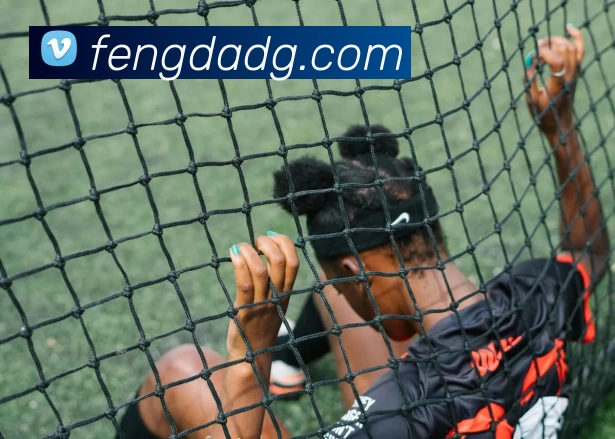 九游体育服务体系